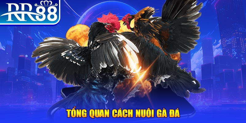 winvip game nổ hũ rút tiền mặt là gì