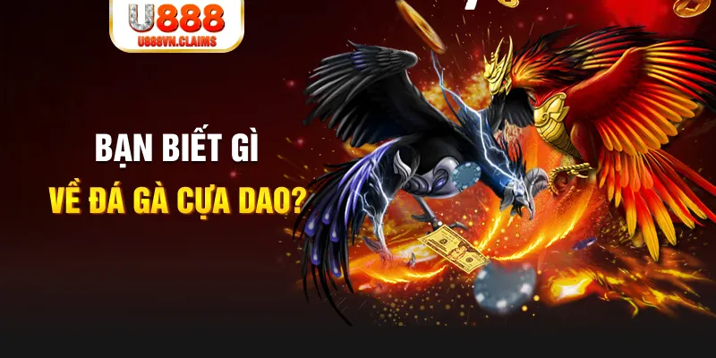 winvip SW Xổ Số