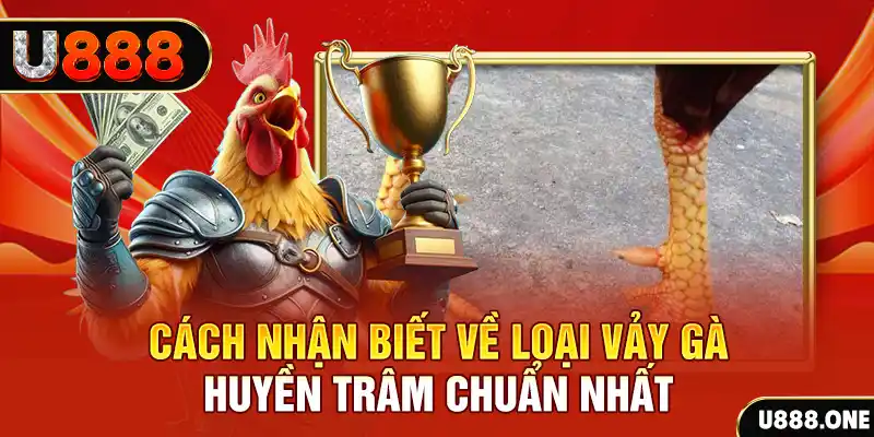 winvip đăng nhập nổ hũ số 1