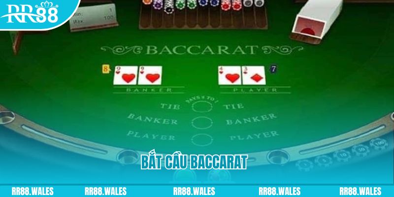 winvip what are the best online casino games