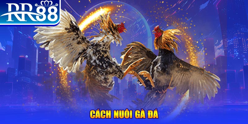 winvip đăng nhập phỏm đổi thưởng