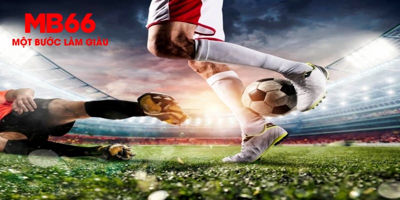 winvip trực tiếp đá gà thomo