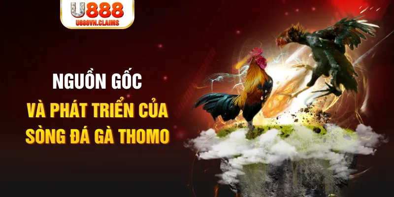 winvip baccarat online la gì