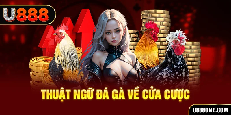 winvip hơn cả bạn bè