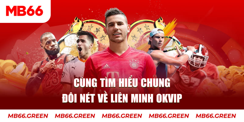 winvip đá gà trực tiếp bình luận viên