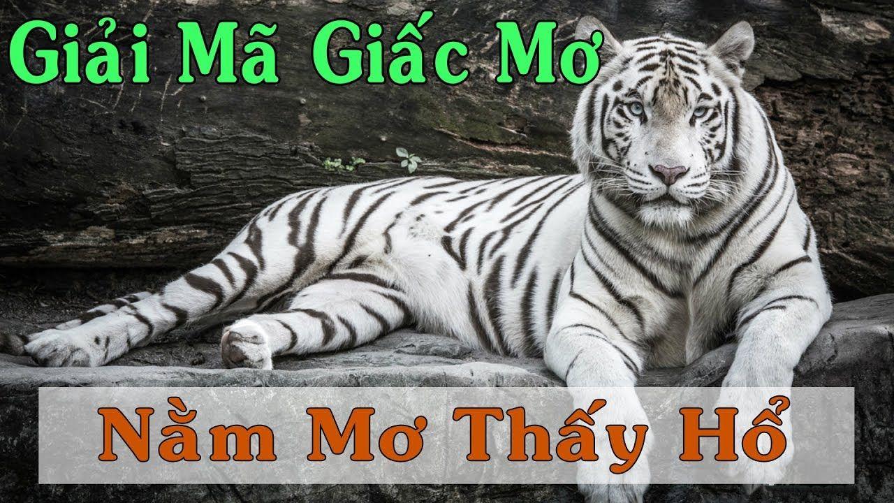 winvip nổ hũ là game gì