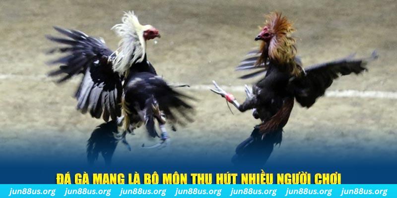 winvip nổ hủ nghĩa là gì