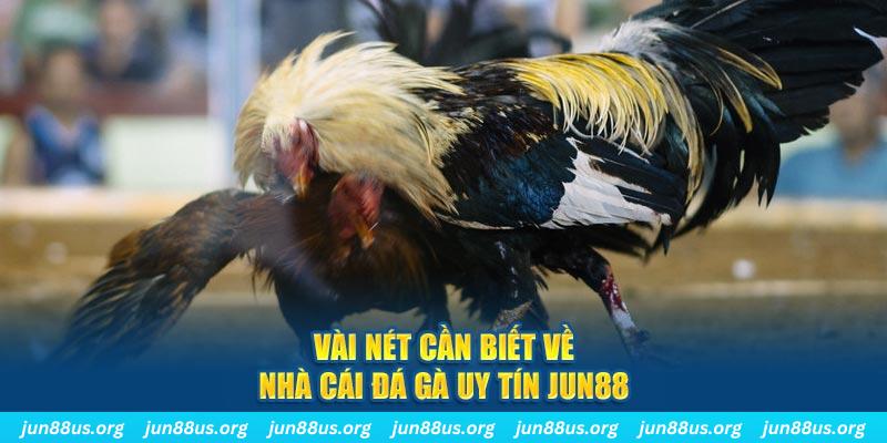 winvip đăng nhập phỏm khuyến mãi