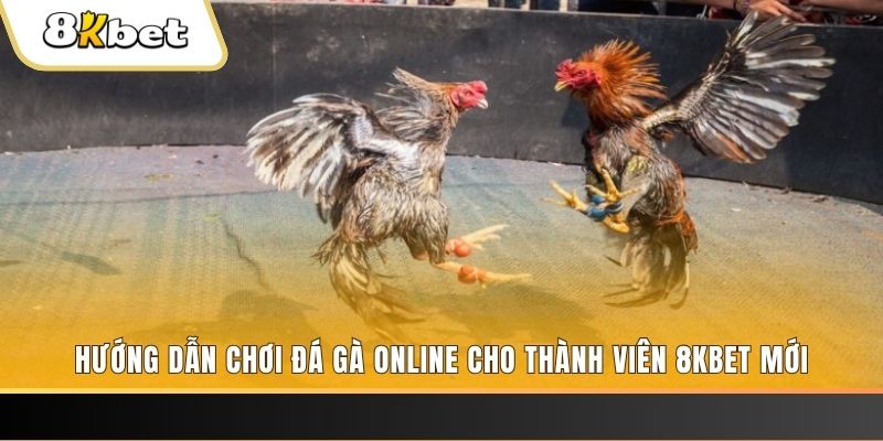 winvip JILI Game Bài 3d