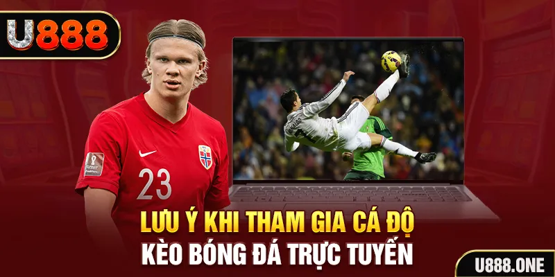 winvip đăng nhập tiến lên miền nam khuyến mãi