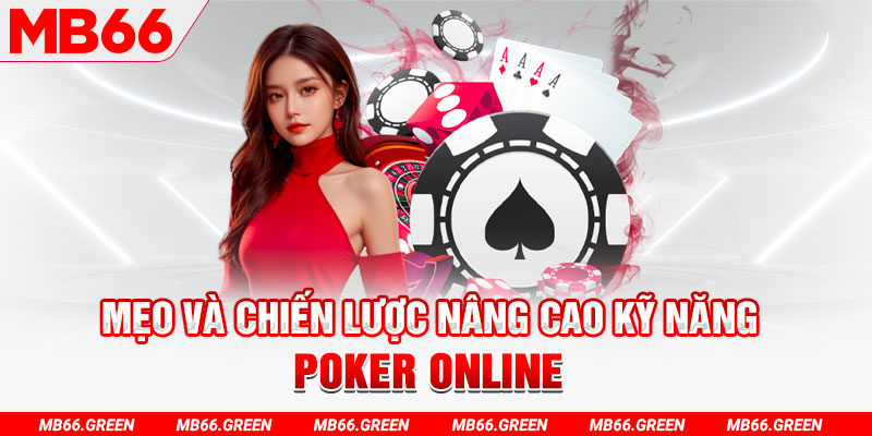 winvip chổi lông gà
