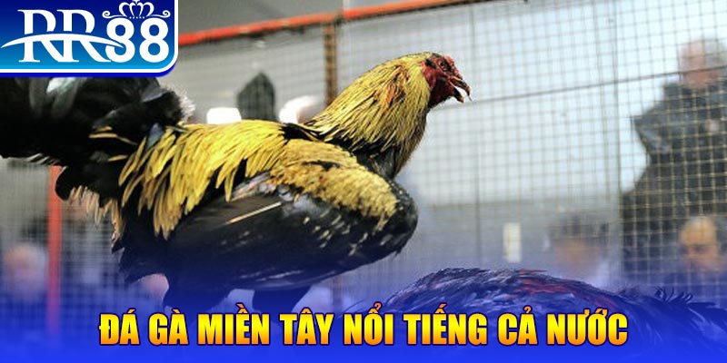 winvip xổ số đại phát