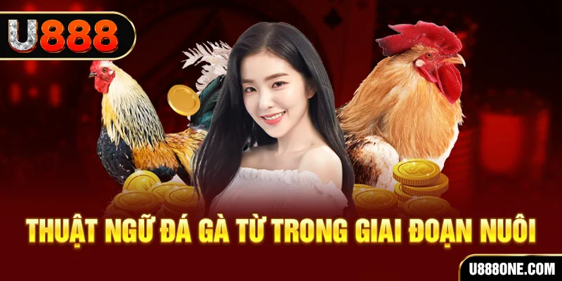 winvip xổ số miền bắc 90 ngày