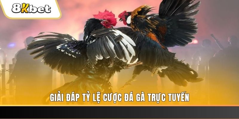 winvip ga choi cau thanh