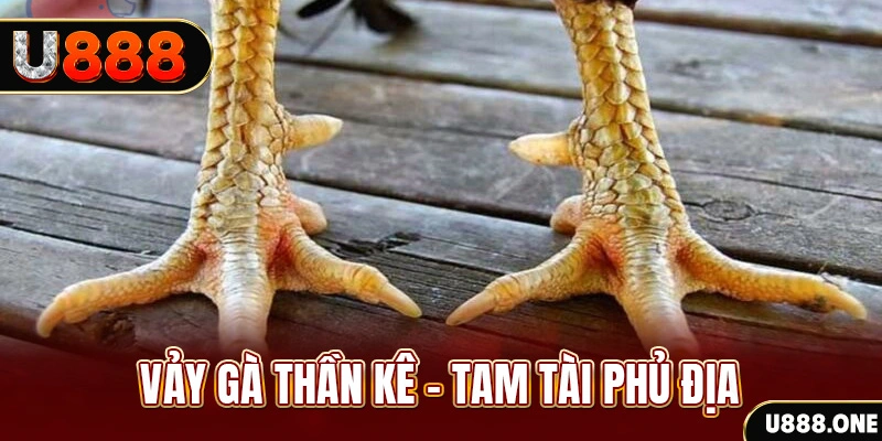 winvip xổ số miền trung thứ hai hàng tuần