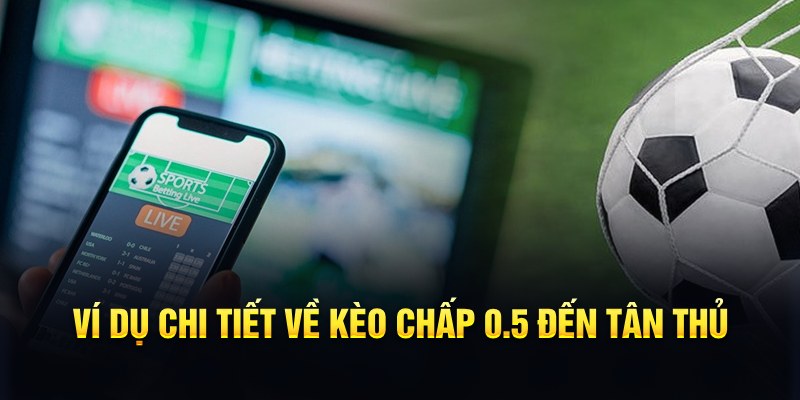 winvip RTG Game Bài 3d