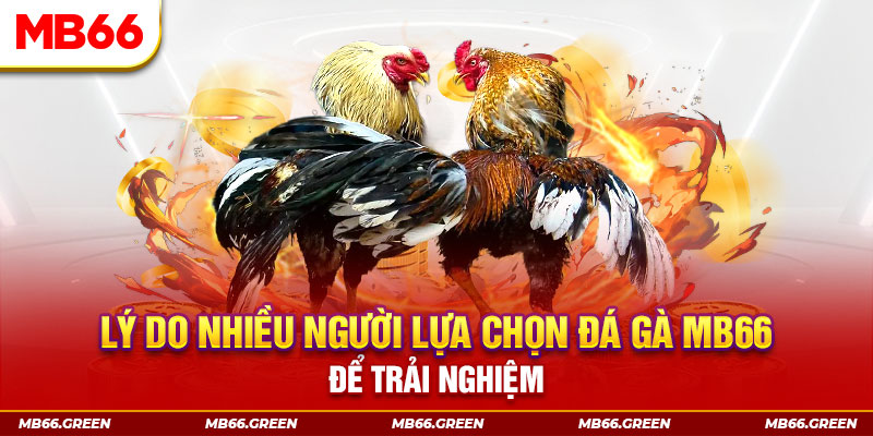 winvip đăng nhập liêng trực tiếp