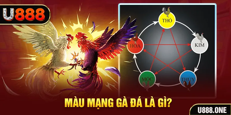 winvip xổ số miền trung thứ tư hàng tuần