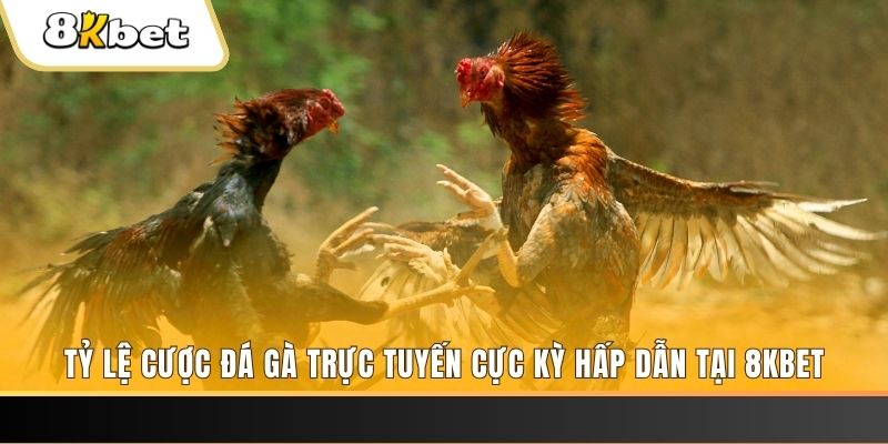 winvip đăng nhập nổ hũ trực tuyến