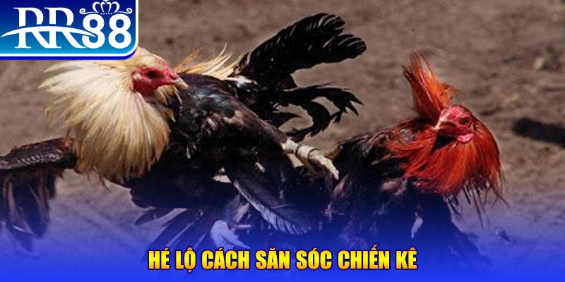 winvip xổ số miền trung thứ tư