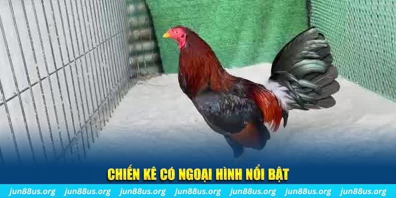 winvip game bắn cá