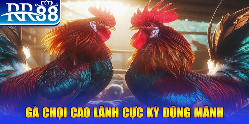 winvip HB Điện Tử